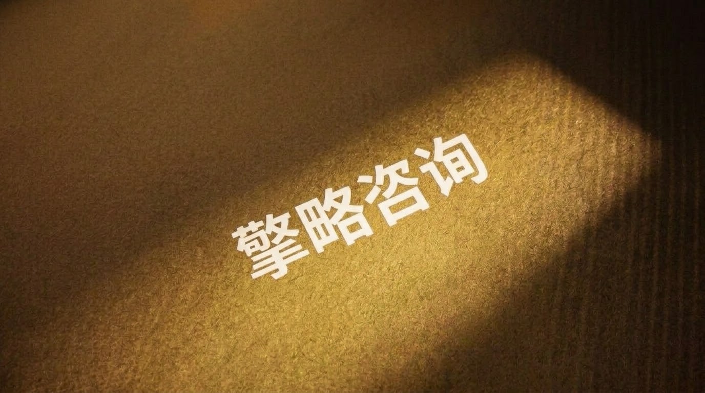 擎略咨询品牌视觉